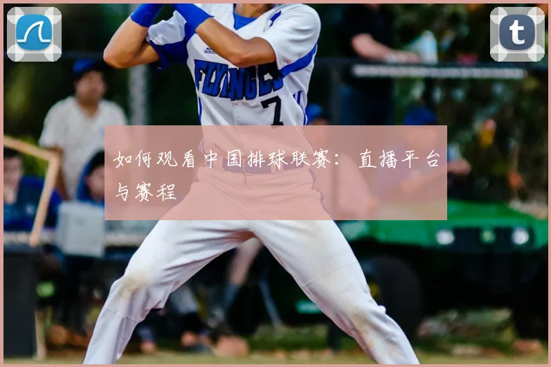 如何观看中国排球联赛:直播平台与赛程
