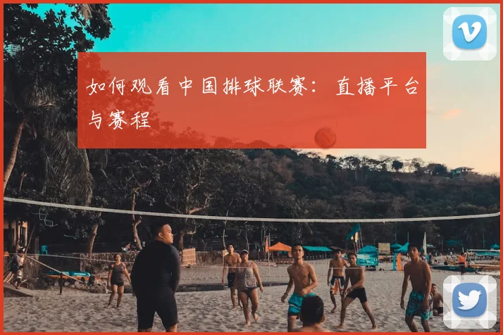 如何观看中国排球联赛:直播平台与赛程